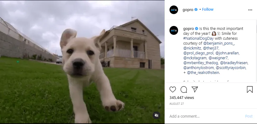 GoPro