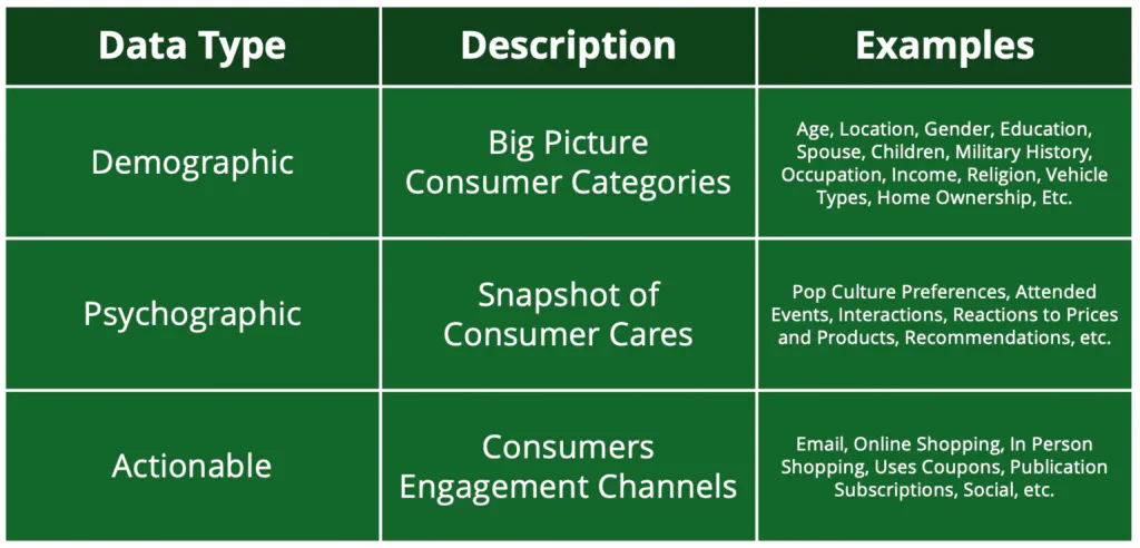 Data types such as demographic and psychographic plus descriptions and examples of each