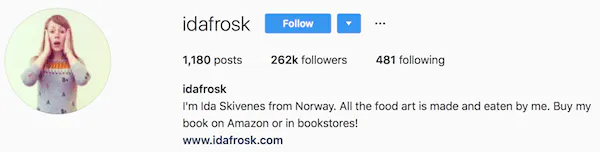Instagram bio examples idafrosk