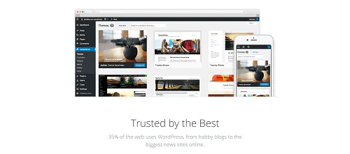 Temas de WordPress