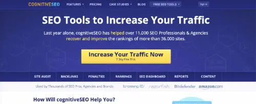 Kognitive SEO