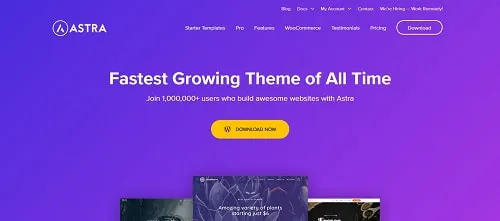 El mejor tema de WordPress para sitios de comercio electrónico: Astra