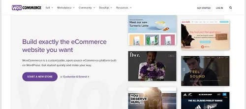 Best WordPress Plugins: WooCommerce