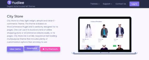 I migliori temi del commercio elettronico WordPress: Negozio in città