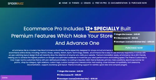 I migliori temi di eCommerce WordPress: eCommerce Lite
