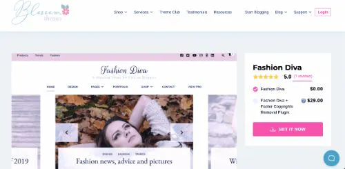 I migliori temi del commercio elettronico WordPress: Diva della moda