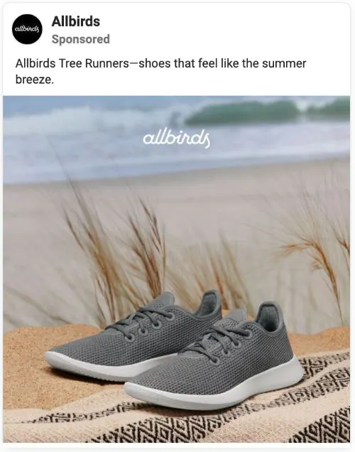 Allbirds