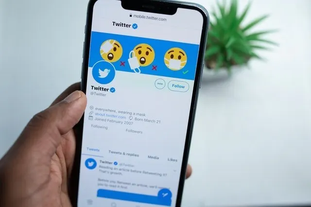 Hand, die ein mobiles Gerät hält, das ein Twitter-Profil und eine Biografie zeigt