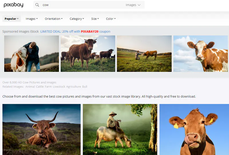 Captura de pantalla de imágenes en Pixabay