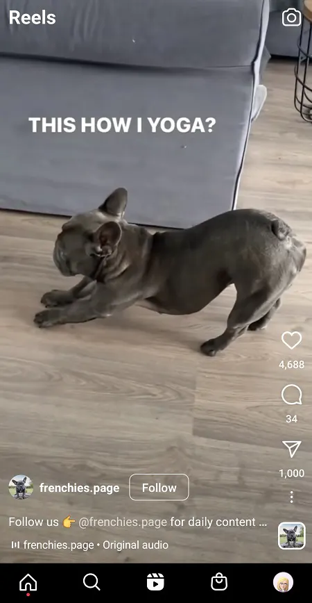 @frenchies.page Instgram Reels screenshot