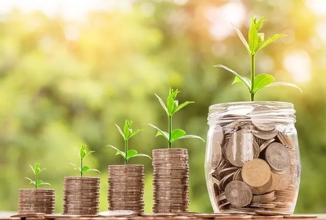 Mucchi di monete che crescono germogliando - concetto di investimento o di reddito